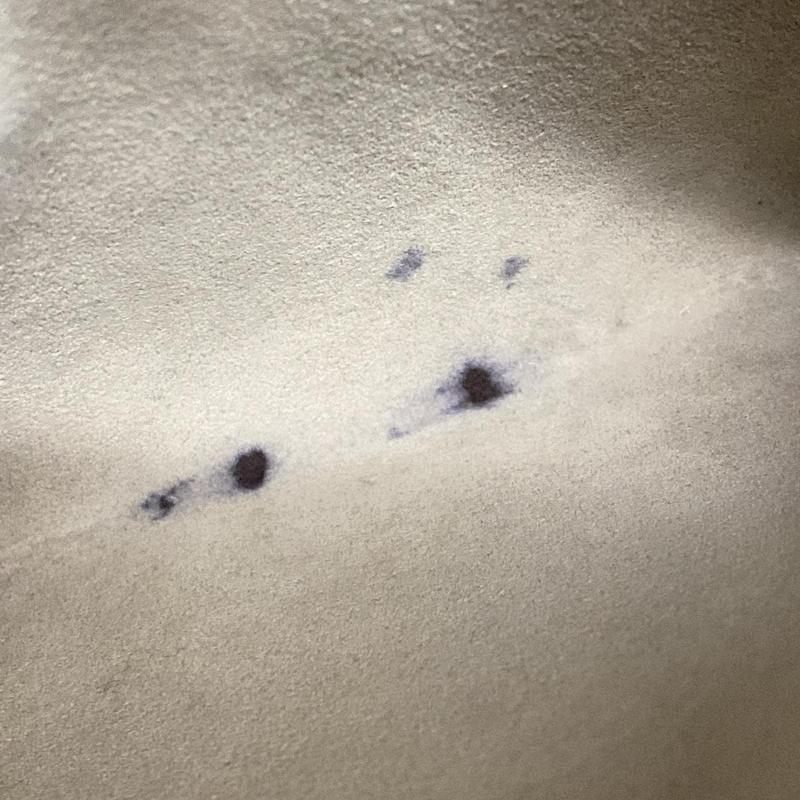 Louis Vuitton Empreinte Monogram Giant Onthego MM Tourterelle Creme RFID