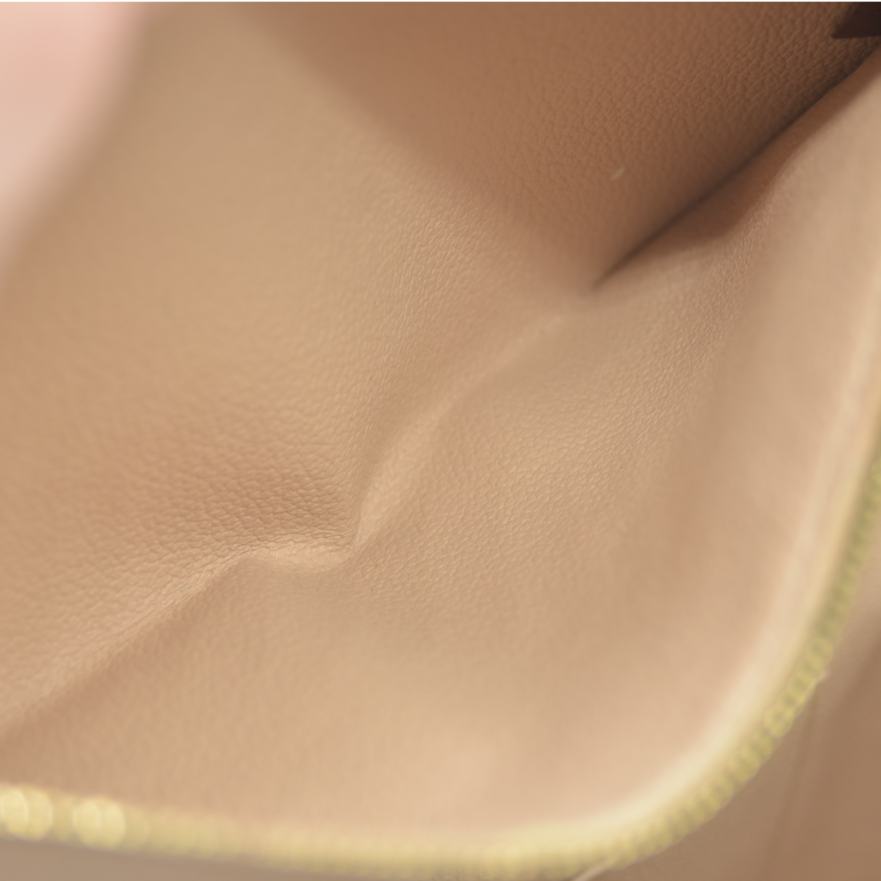 Louis Vuitton Monogram Nice BB PL2178