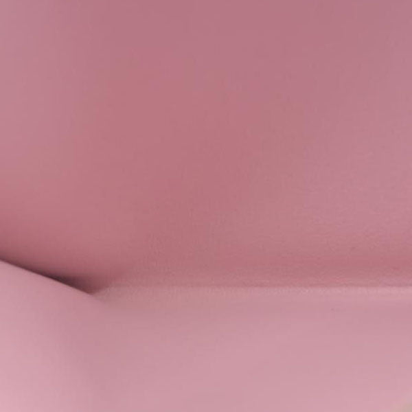 AUCTION $2350 Louis Vuitton Monogram Valentine Dog Pochette Felicie Card holder insert