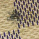 AUCTION $610 Louis Vuitton Damier Azur Alexandra Wallet