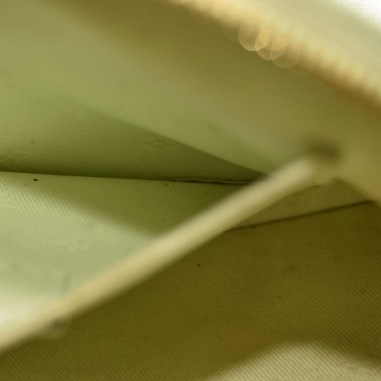 LOUIS VUITTON Calfskin Bubblegram Alma BB Light Green