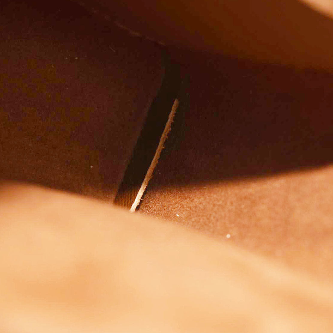 Louis Vuitton Monogram Phone Box Legacy