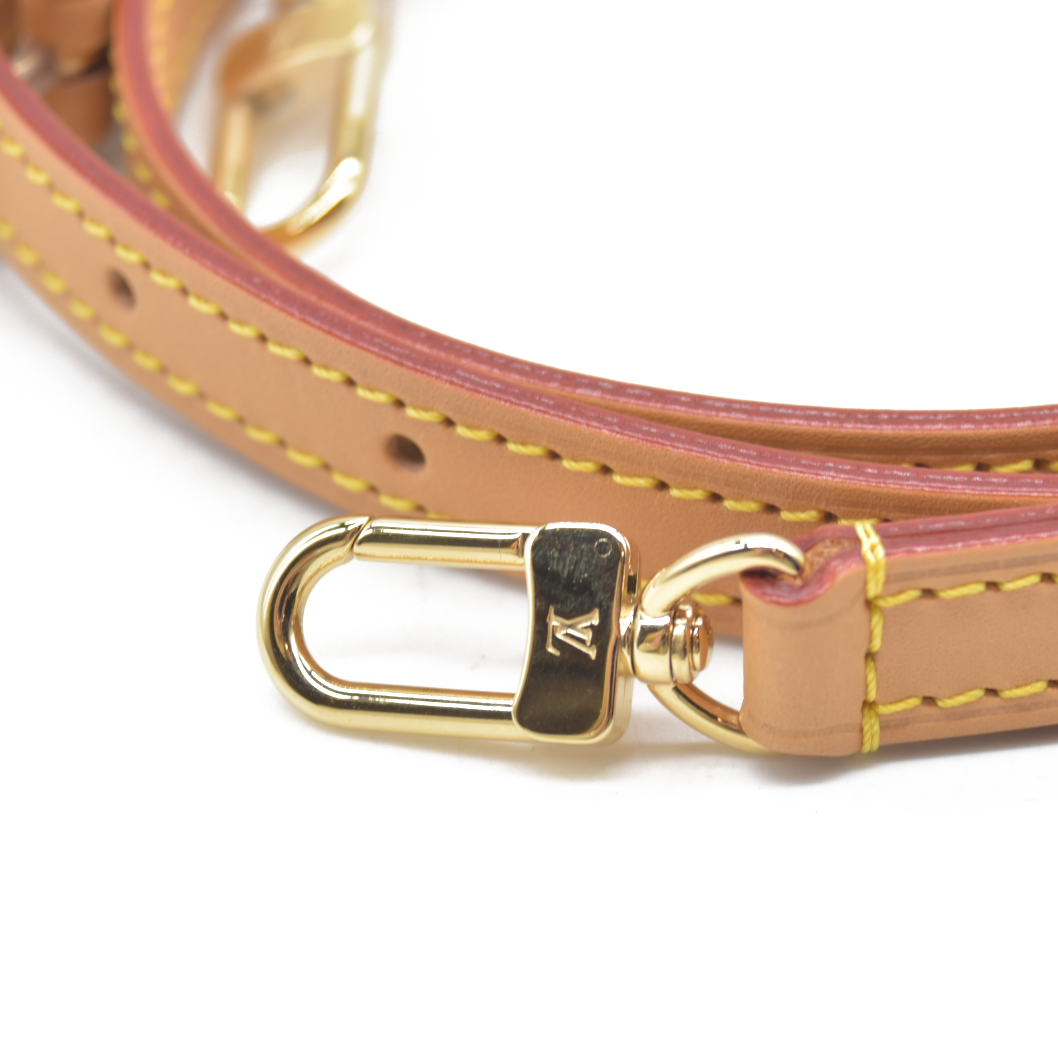 Louis Vuitton Monogram Nano Diane