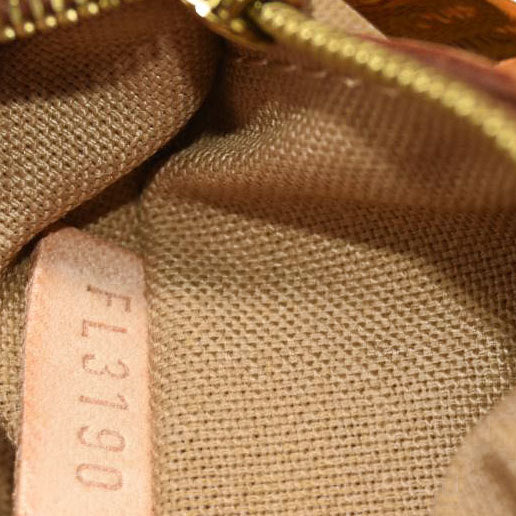 Louis Vuitton Monogram Delightful GM