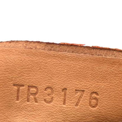 LOUIS VUITTON Monogram Nano Speedy TR3176
