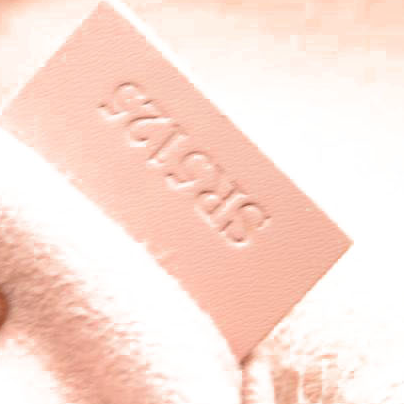 Louis Vuitton Damier Ebene Caissa Hobo Rose Ballerine