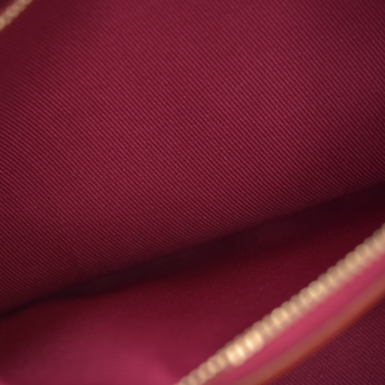 Louis Vuitton Monogram Diane Fuchsia RFID