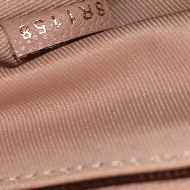 Louis Vuitton Damier Ebene Clapton Backpack Magnolia