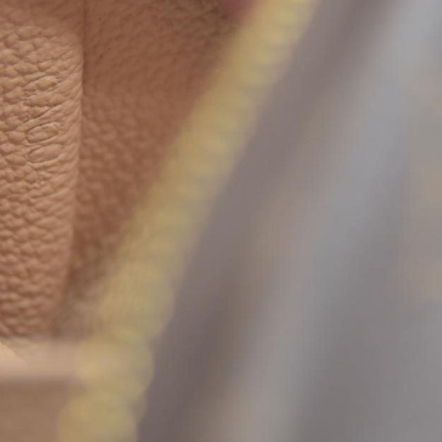 Louis Vuitton Monogram Cosmetic Pouch