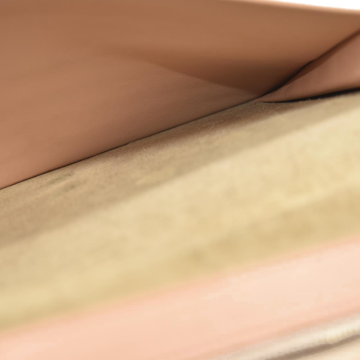 CELINE Grained Calfskin Large Multifunction Strap Wallet Pink Chalk