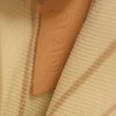 Louis Vuitton Monogram Giant Jungle Neverfull MM Pochette Black