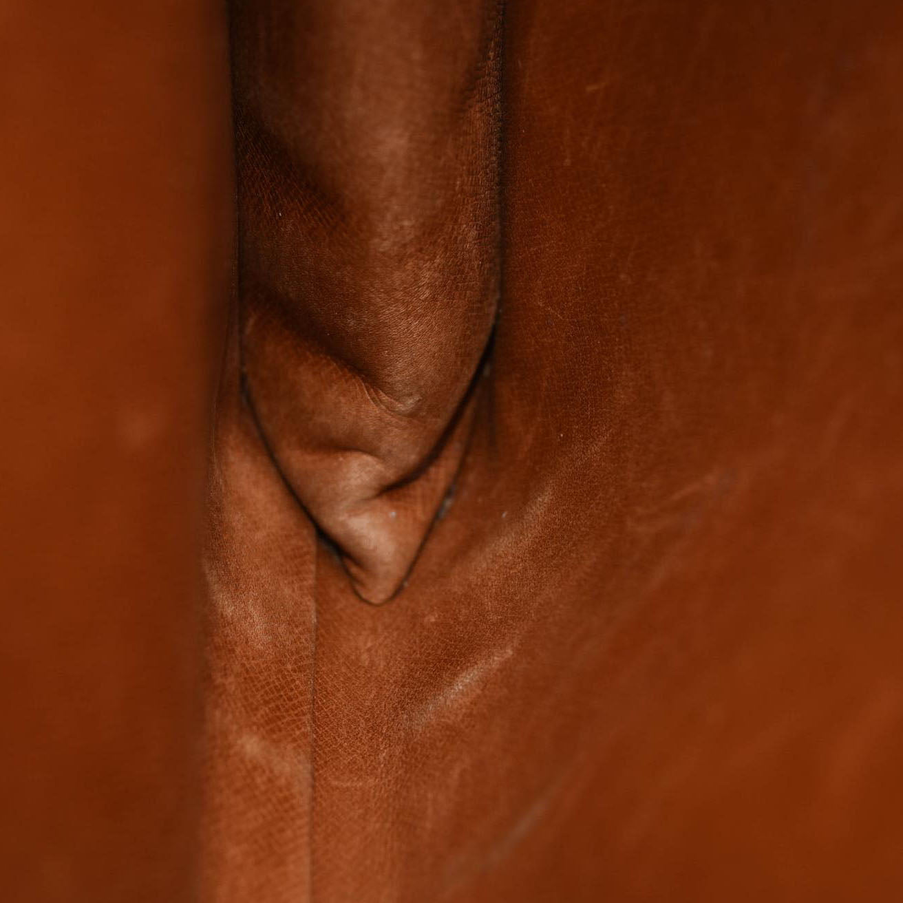 Louis Vuitton Monogram Poche Documents Document Case