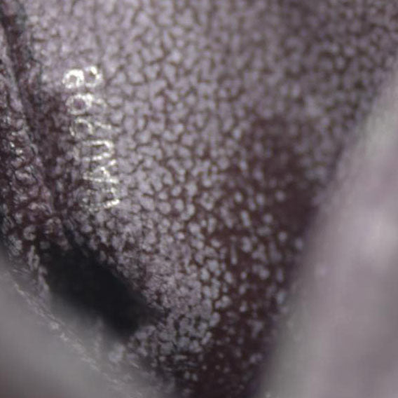 Louis Vuitton Taiga Trousse Toilette PM Acajou