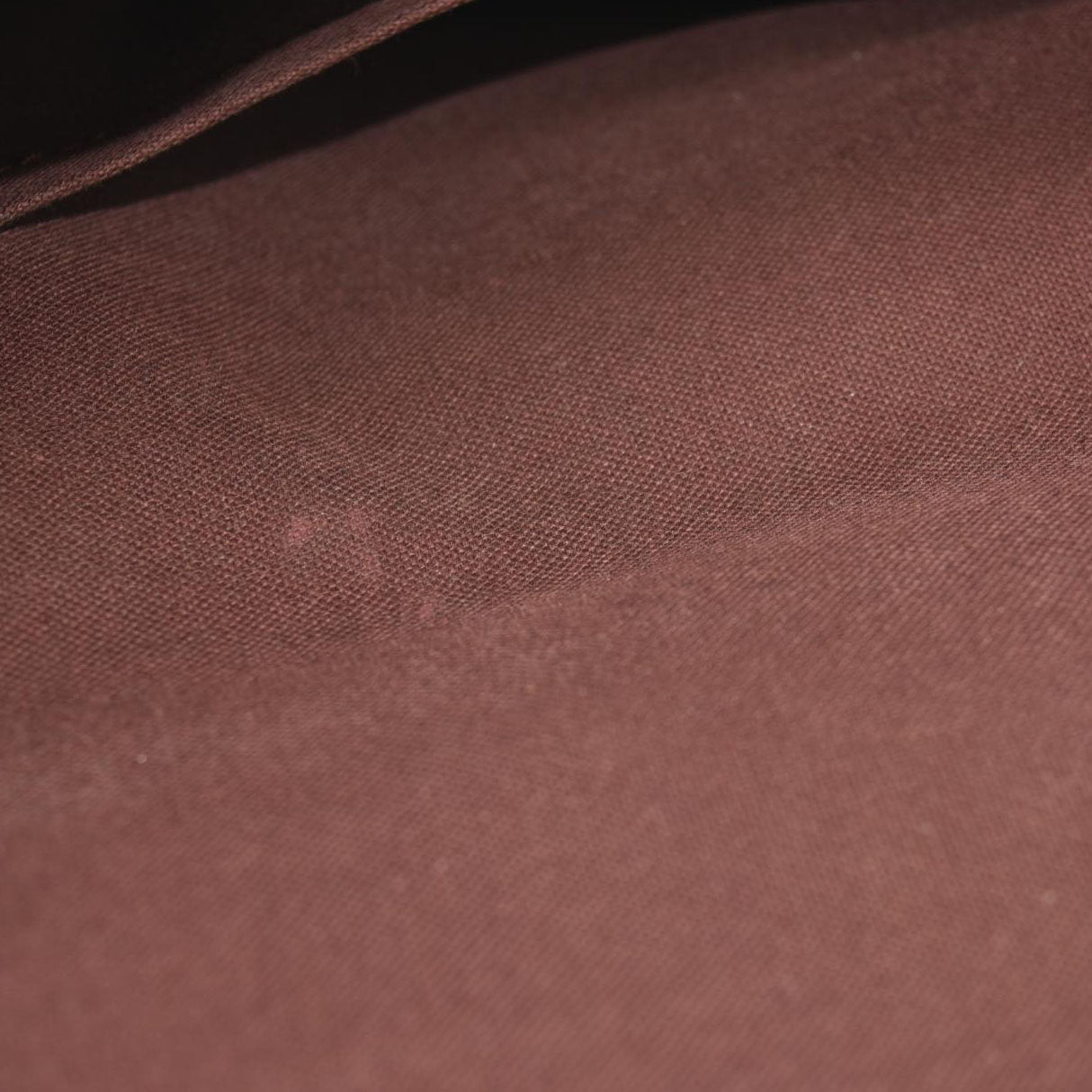 LOUIS VUITTON Monogram Favorite MM