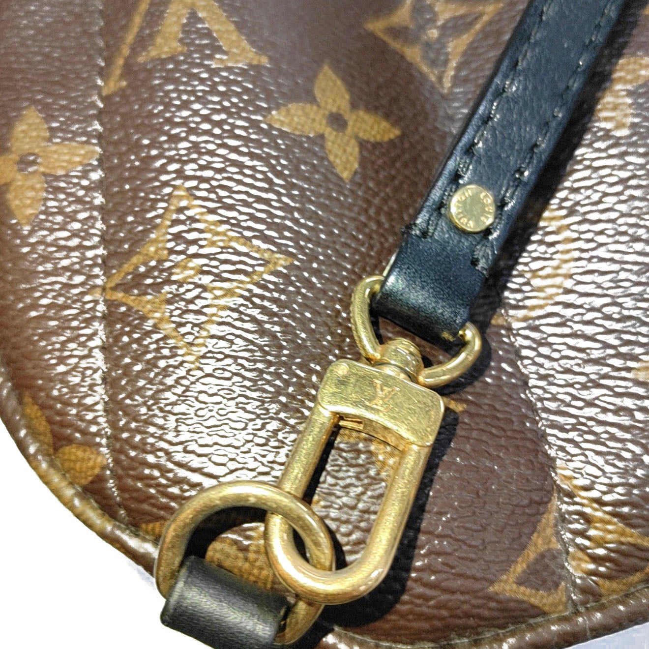 Louis Vuitton Monogram Palm Springs Backpack Mini