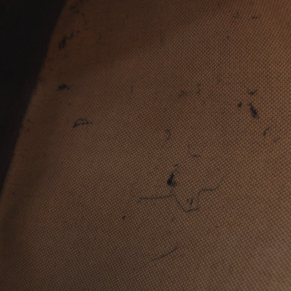 HERMES Taurillon Clemence Amazone Evelyne TPM in Dark Brown