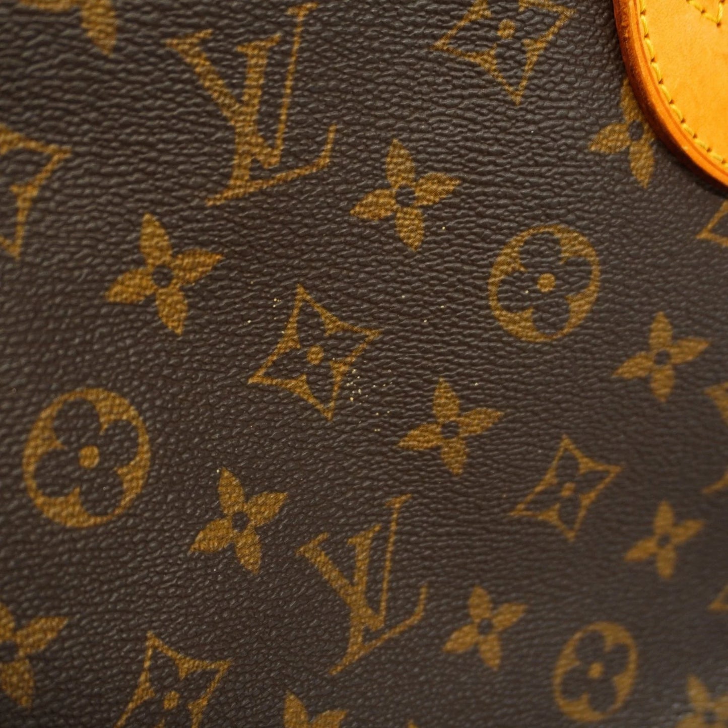 LOUIS VUITTON Monogram Neverfull PM France