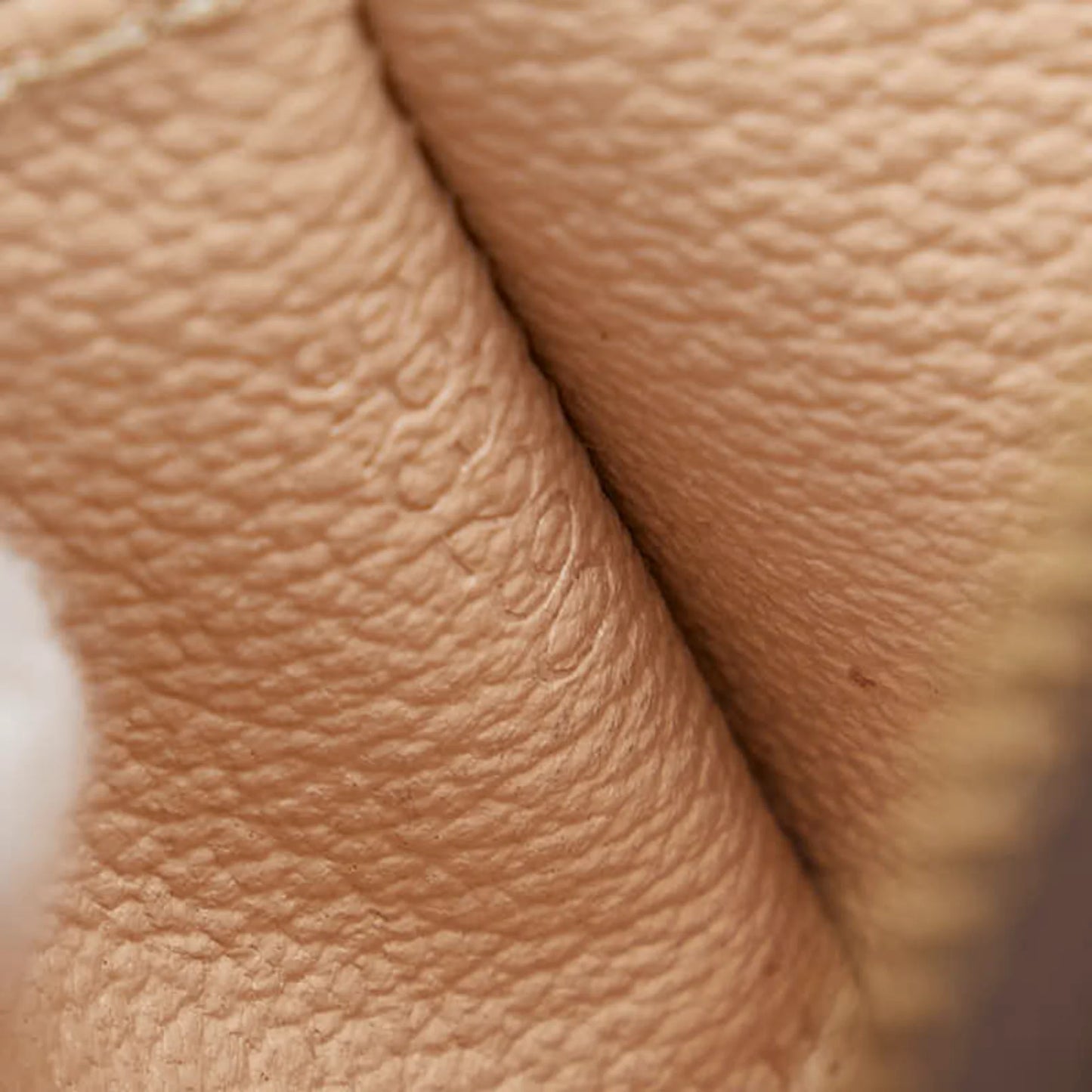 PRE-ORDER  Louis Vuitton  Monogram Cosmetic Pouch