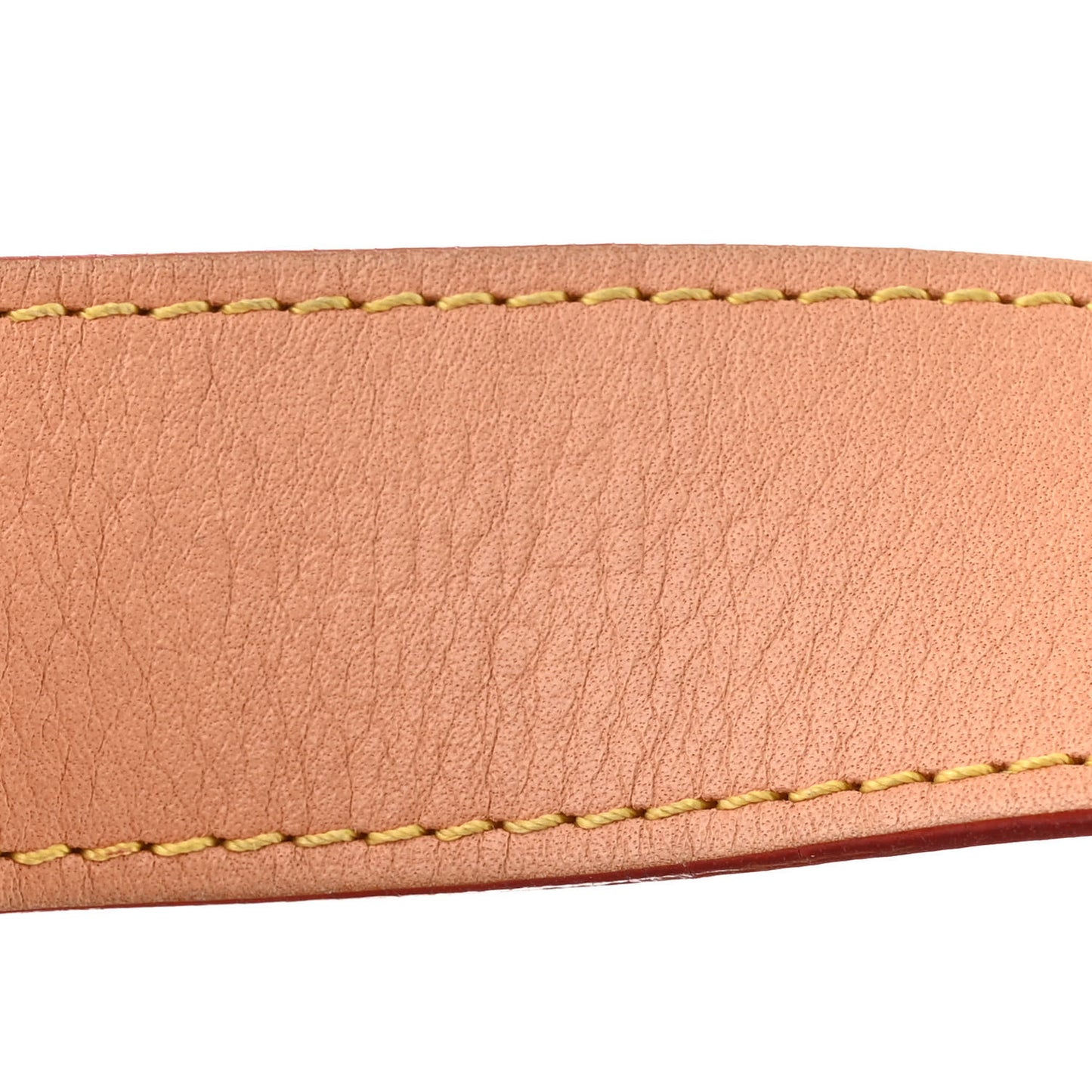 Louis Vuitton  Monogram CarryAll PM