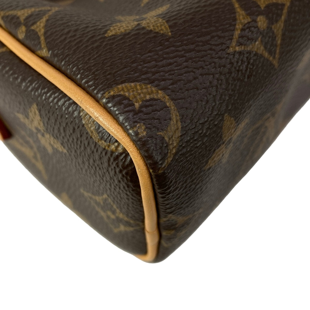 2024 Louis Vuitton Nano Speedy TY2294