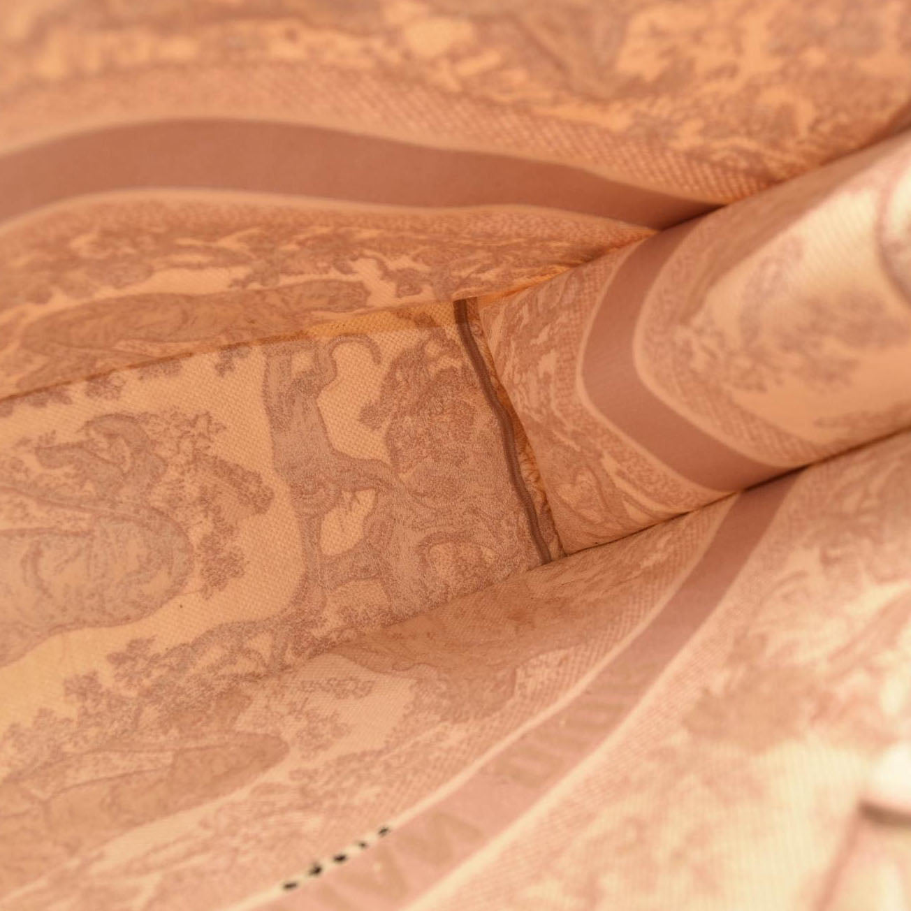 CHRISTIAN DIOR Canvas Toile De Jouy Embroidered Large Book Tote Pink