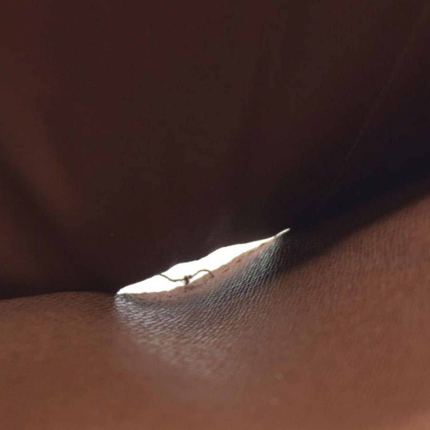 $610 LOUIS VUITTON Monogram Alexandra Trifold Wallet CA0112