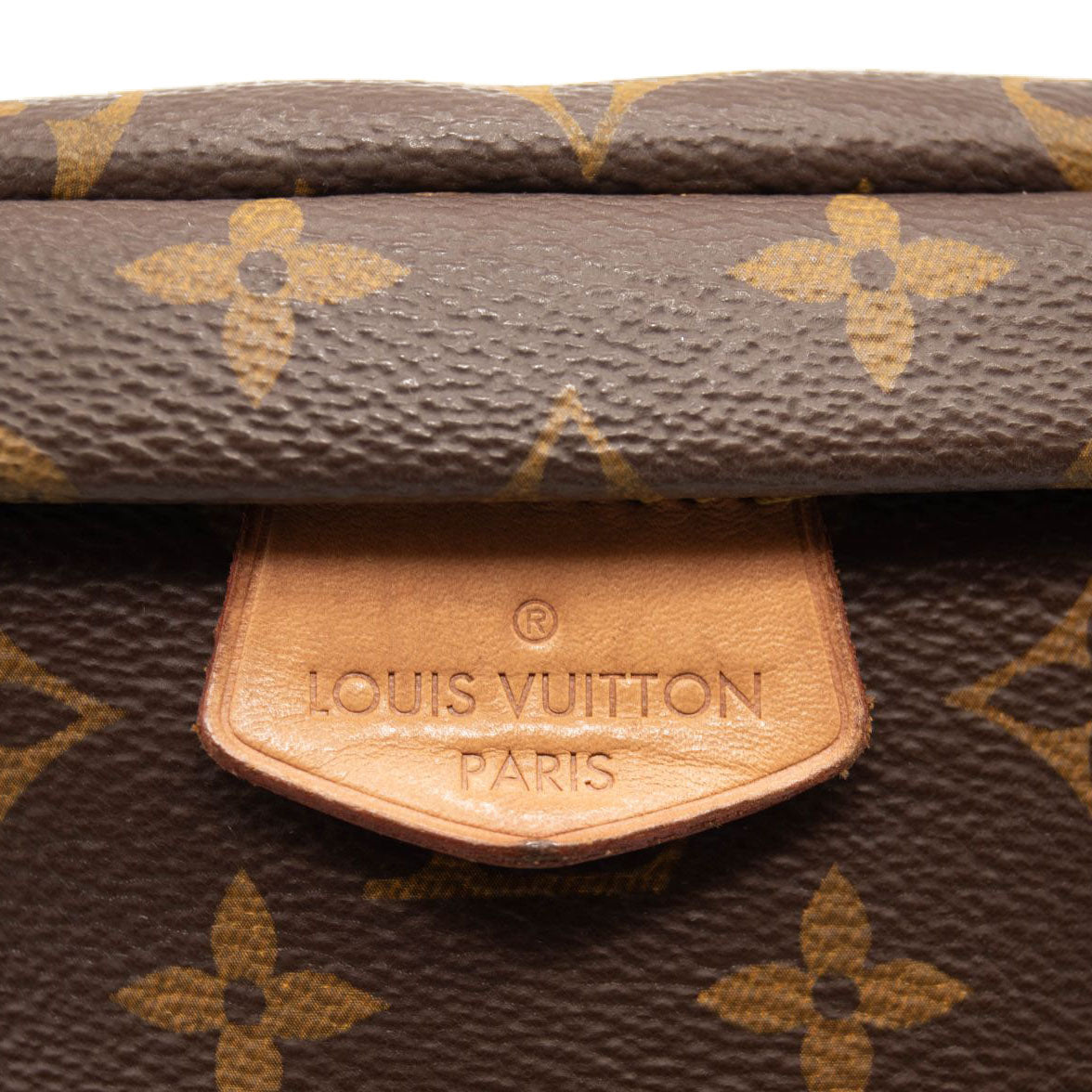 2020 MI0280 LOUIS VUITTON Monogram Bumbag