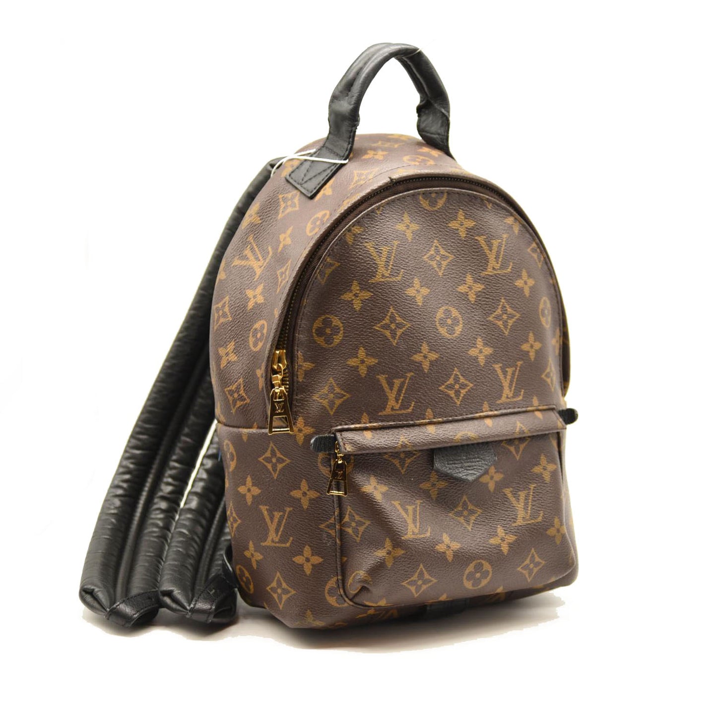 LOUIS VUITTON Monogram Palm Springs Backpack PM