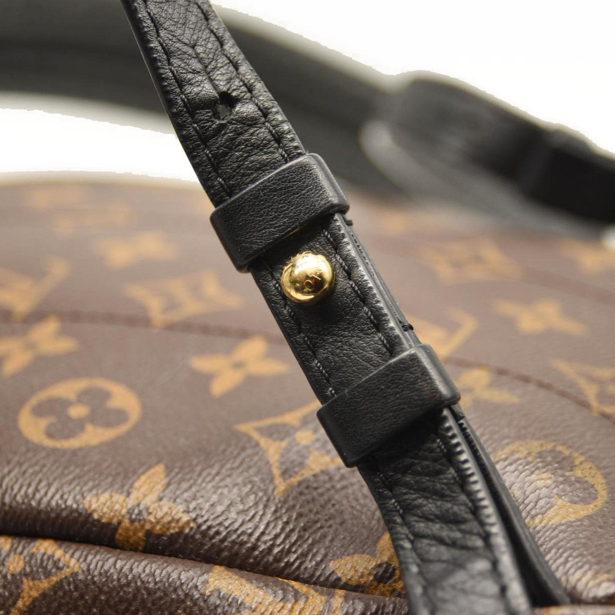 LOUIS VUITTON Monogram Palm Springs Backpack PM