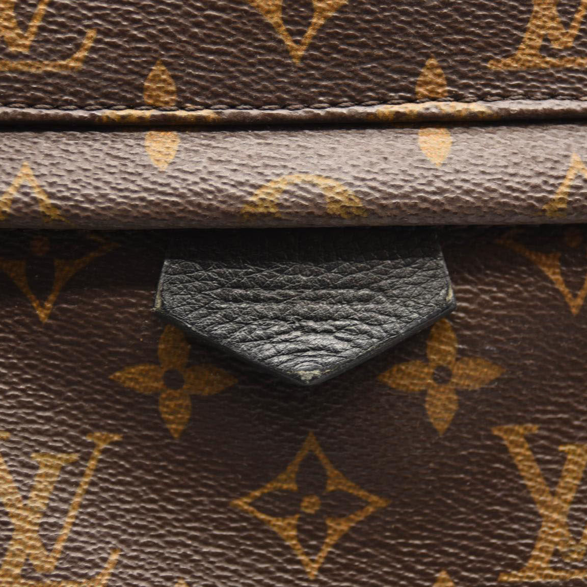 LOUIS VUITTON Monogram Palm Springs Backpack PM