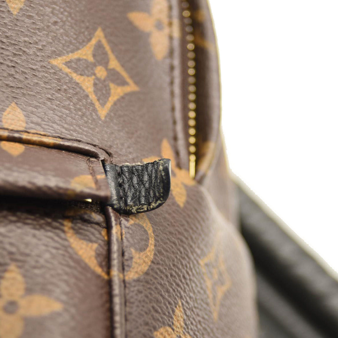 LOUIS VUITTON Monogram Palm Springs Backpack PM