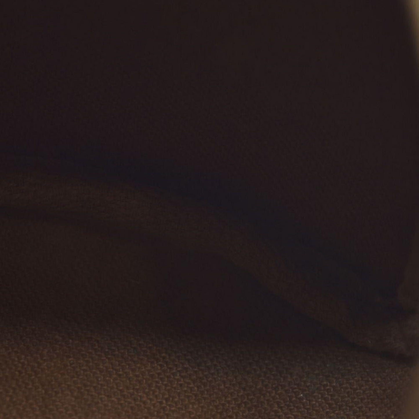 Louis Vuitton Monogram Mini Sac HL Speedy $1900