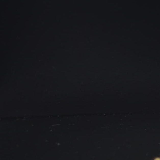 $915 CONSIGNMENT Louis Vuitton  Reverse Monogram Giant Zippy Wallet LU4220