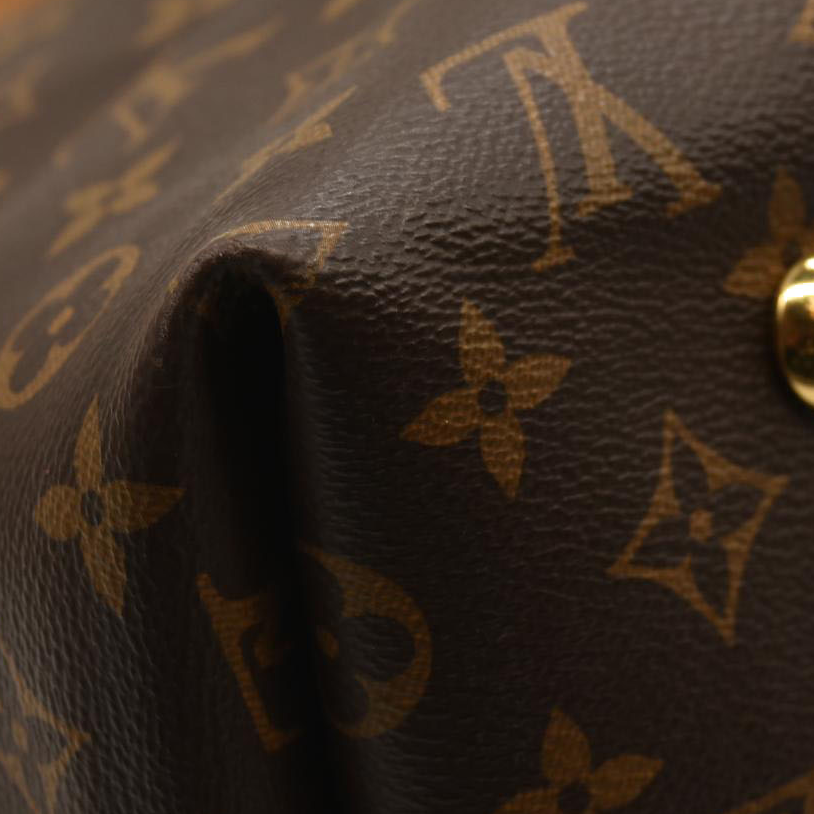 LOUIS VUITTON  Monogram CarryAll MM with pouch