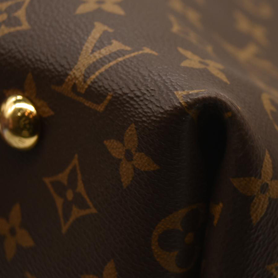 LOUIS VUITTON  Monogram CarryAll MM with pouch