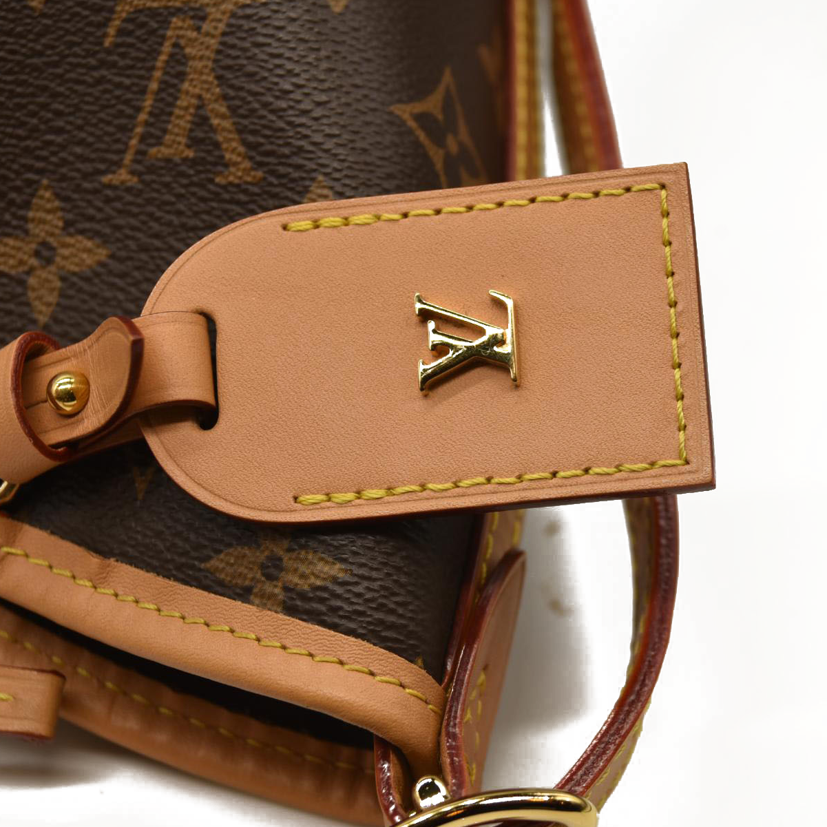 LOUIS VUITTON  Monogram CarryAll MM with pouch