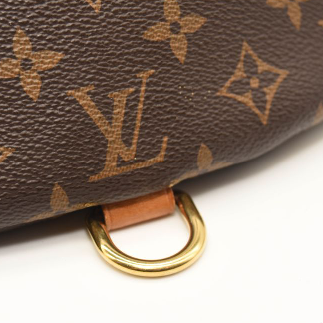 LOUIS VUITTON Monogram Bumbag TJ3199