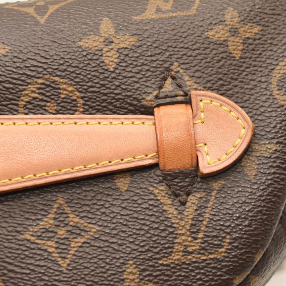 LOUIS VUITTON Monogram Bumbag TJ3199