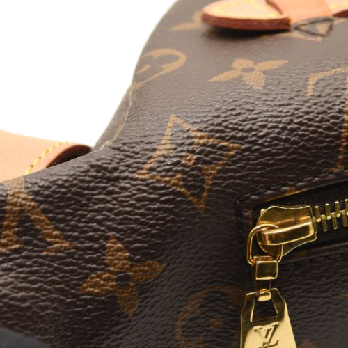 LOUIS VUITTON Monogram Bumbag TJ3199