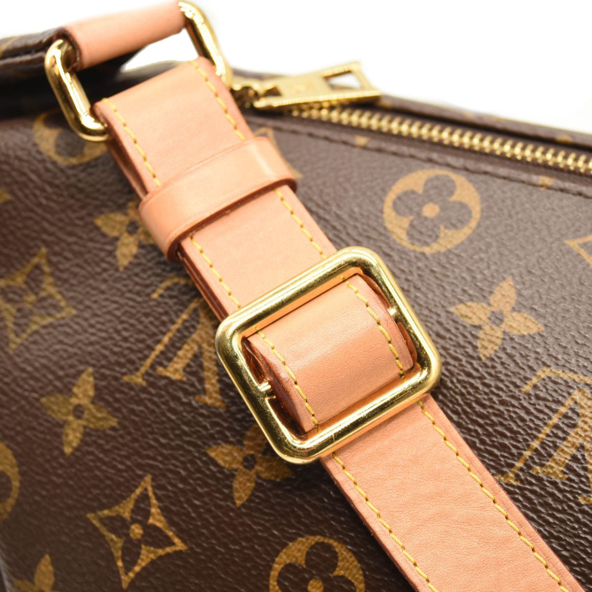 LOUIS VUITTON Monogram Bumbag