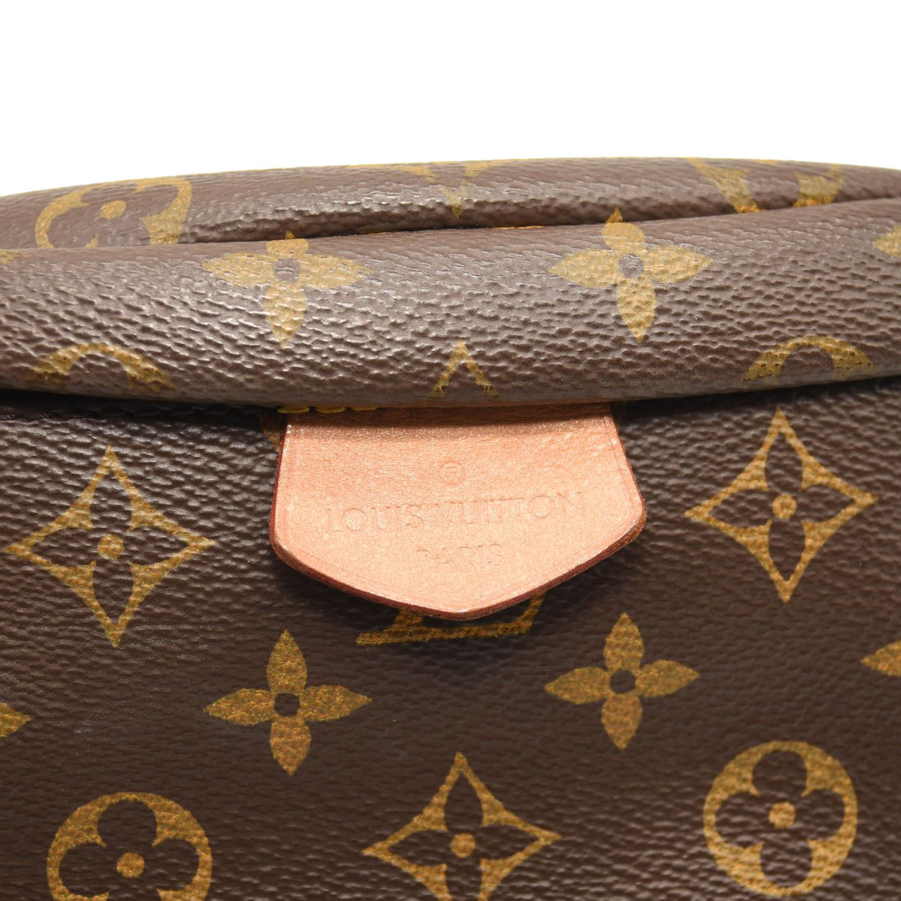 LOUIS VUITTON Monogram Bumbag