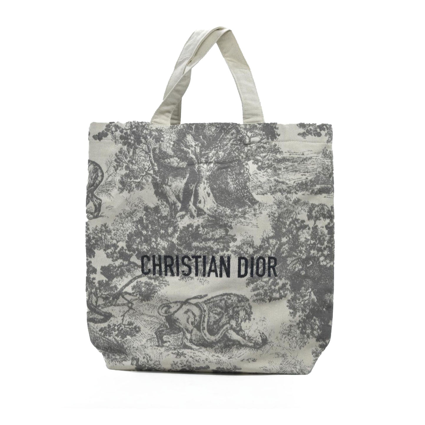 NEW DIOR Toile De Jouy Tote Bag VIP