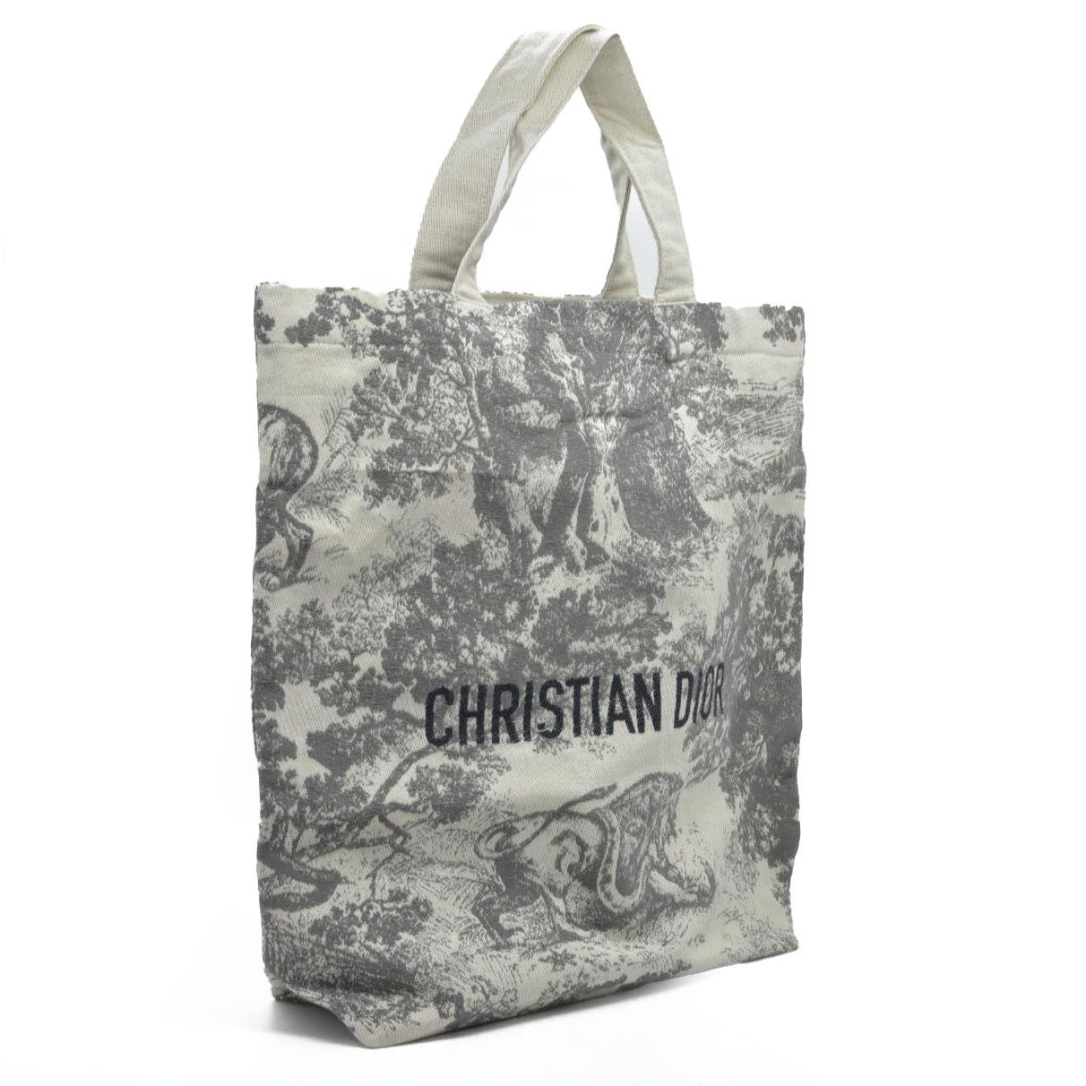 NEW DIOR Toile De Jouy Tote Bag VIP