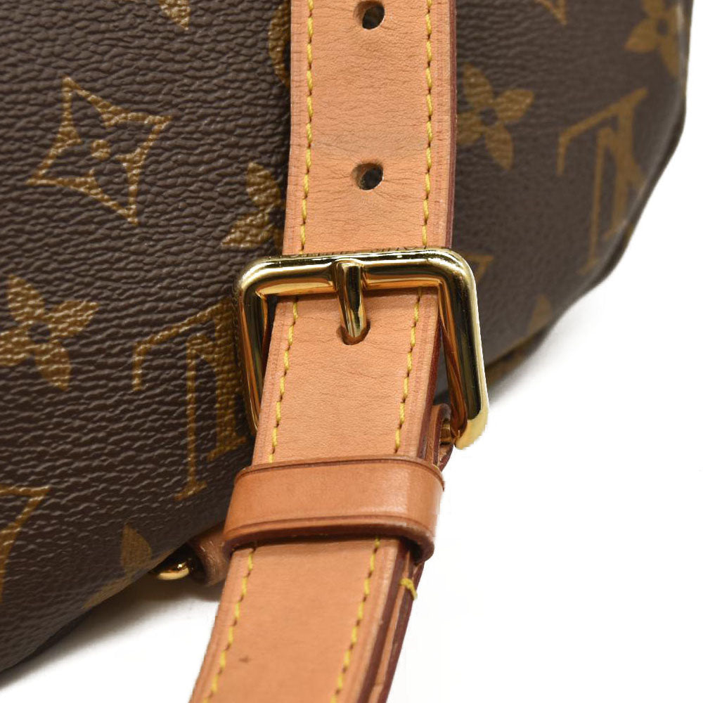 LOUIS VUITTON  Monogram Bumbag CA2129