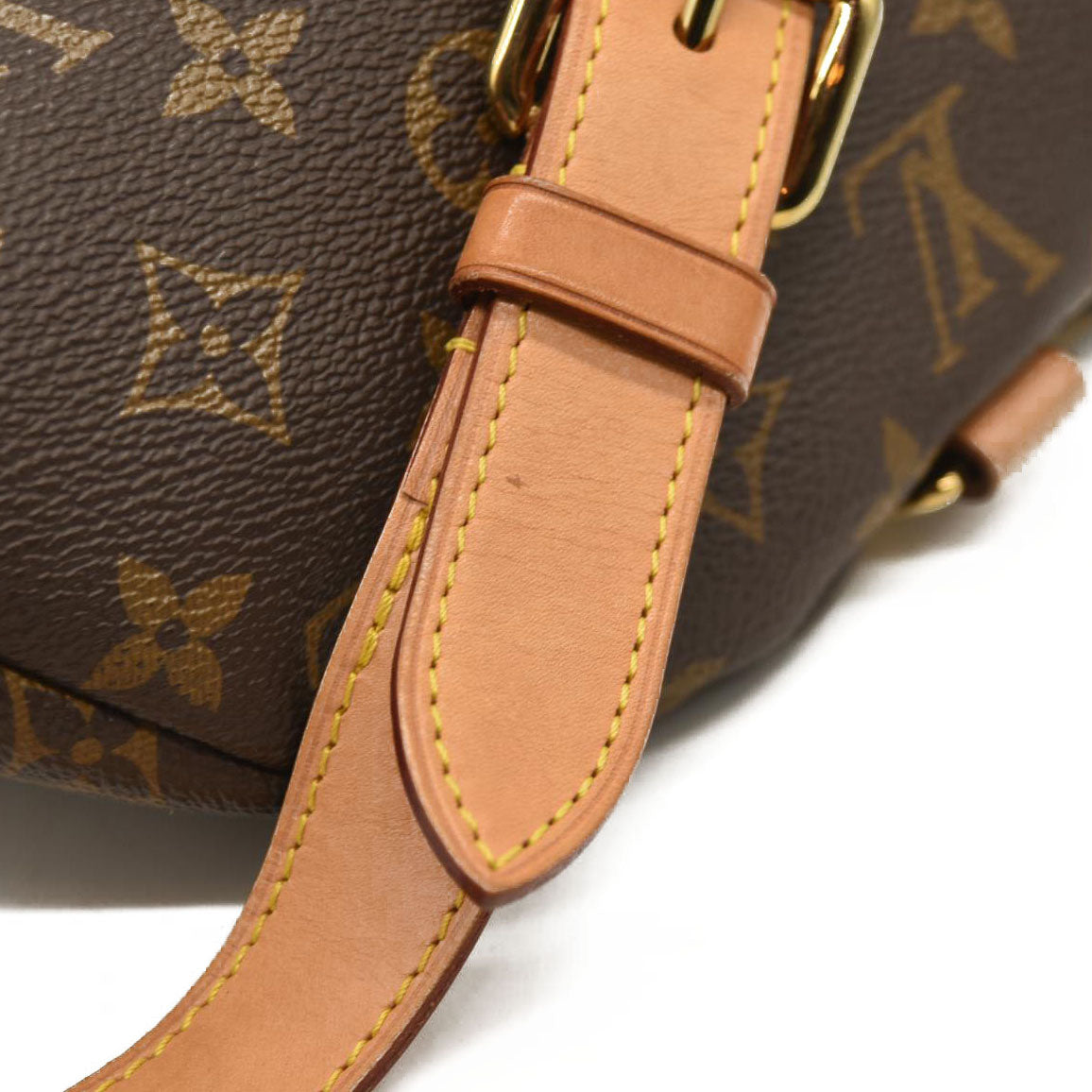 LOUIS VUITTON  Monogram Bumbag CA2129