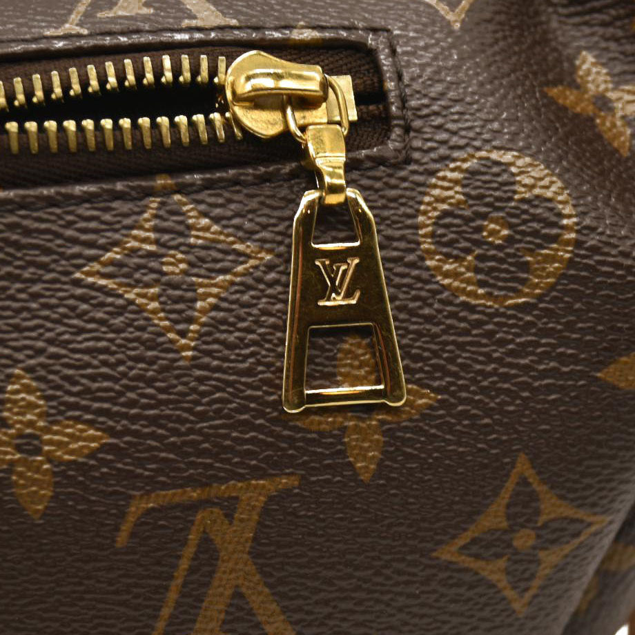 LOUIS VUITTON  Monogram Bumbag CA2129