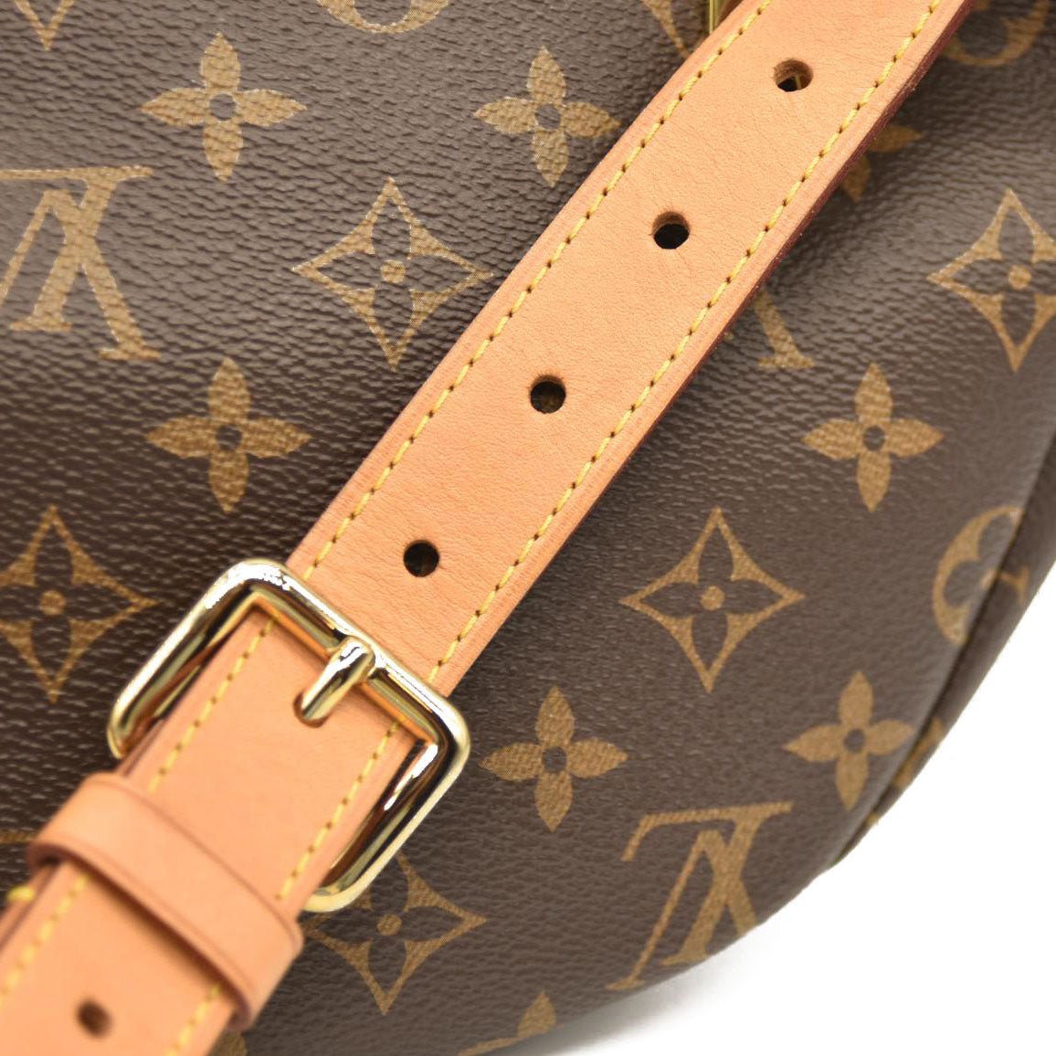 Louis Vuitton  Monogram Bumbag