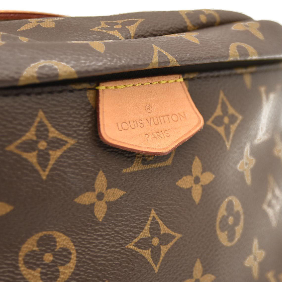 Louis Vuitton  Monogram Bumbag