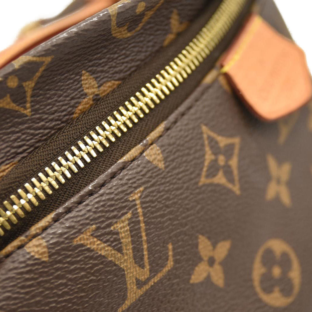 Louis Vuitton  Monogram Bumbag