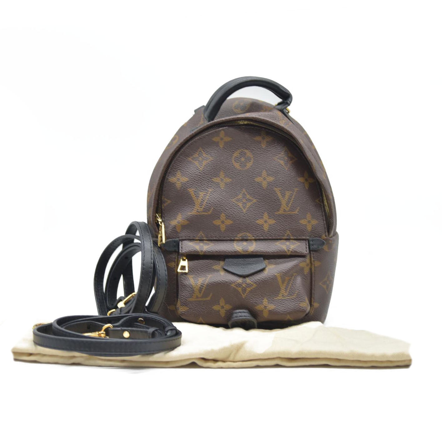 Louis Vuitton  Monogram Palm Springs Backpack Mini